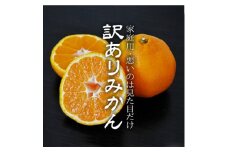 愛媛・八幡浜産「みかん:6kg＜訳あり＞(サイズ:2S.S.M.L.2L)」＜C48-41＞【1450403】