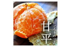 愛媛・八幡浜産「甘平:3kg」＜訳あり＞＜D48-43＞【1450449】