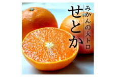 愛媛・八幡浜産「高級柑橘・せとか:3kg」＜訳あり＞＜C48-50＞【1450536】