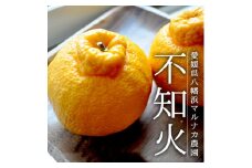愛媛・八幡浜産「不知火:5kg」＜訳あり＞＜C48-52＞【1450558】