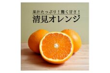 愛媛・八幡浜産「清見タンゴール:5kg」＜訳あり＞＜C48-53＞【1450566】