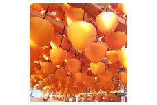 丸京農園だけの“ 逸品”美しい粉雪の「 干し富士柿 」( 家庭用・クール発送 )＜C72-5＞_ 干し柿 干しかき 干しカキ フルーツ 果物 くだもの 青果 産地直送 産直 愛媛 冷蔵 富士柿 大きい 家庭用 希少 国産 【1445473】
