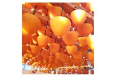 丸京農園だけの“逸品”美しい粉雪の「 干し富士柿 」(家庭用)＜C72-6＞【1445475】