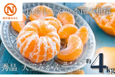 JAにしうわの季節の柑橘(八幡浜共選「秀品2L大玉みかん」約4kg)＜C08-72＞【1443223】