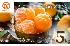 JAにしうわの季節の柑橘(八幡浜共選「秀品2S小玉みかん」約5kg)＜C08-73＞_ みかん ミカン 柑橘 フルーツ くだもの 果物 ふるーつ 青果 果実 甘い ジューシー 産直 産地直送 旬 柑橘類 人気 【1443230】