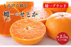 愛媛の柑橘の代名詞!「せとか」約2.5kg入＜C28-40＞【1437356】