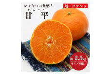 愛媛の高級柑橘の一つ!「甘平(かんぺい)」約2.5kg入＜訳あり＞＜C28-41＞【1437357】