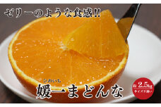 ＜2025年11月以降発送＞ゼリーのような食感!「媛一まどんな」約2.5kg入＜C28-42＞【1437098】