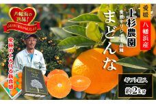 ギフト対応化粧箱入・上杉農園のぷるぷる新食感!「マドンナ」約2kg＜C39-50＞【1450439】