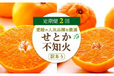 ＜発送月固定定期便＞愛媛の人気2品種を堪能!せとか・不知火食べ比べ(訳あり)全2回＜G25-149＞【4004827】