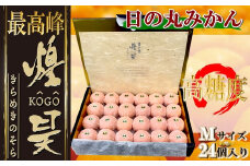 日の丸みかん「煌昊(こうごう)」24個入/個包装/手詰め/高糖度/光センサー使用＜G79-1＞【1451576】