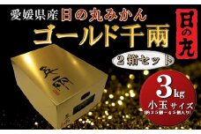 日の丸みかん「ゴールド千兩」3kgサイズSまたは2S/約35～45個/2箱/光センサー＜F79-5＞_ みかん ミカン 柑橘 くだもの 果物 フルーツ 温州 コク 濃厚 甘い 3kg 小玉 常温 デザート 産地直送 産直 【1452027】