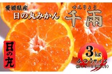 日の丸みかん「千兩」3kg　約25～35個/LまたはMサイズ/光センサー使用＜C79-6＞【1452029】
