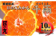日の丸みかん「千兩」10kg　2S(小玉)サイズ/約130～160個＜D79-10＞【1452033】