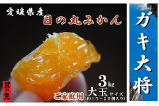 果汁しっかり自然の恵み!「ガキ大将」3kg(大玉サイズ)日の丸みかん/ご家庭用＜C79-11＞【1452034】