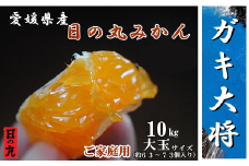 果汁しっかり自然の恵み!「ガキ大将」10kg(大玉サイズ)日の丸みかん/ご家庭用＜D79-13＞【1452036】
