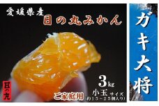 果汁しっかり自然の恵み!「ガキ大将」3kg(小玉サイズ)/日の丸みかん/ご家庭用＜C79-16＞【1452039】