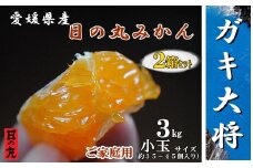 自然の恵み!「ガキ大将」3kg(小玉サイズ)/日の丸みかん/ご家庭用/2箱セット＜C79-17＞【1452041】