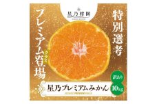 星乃みかん小玉プレミアムシリーズ(10kg)＜訳あり＞＜D45-85＞_ みかん 蜜柑 ミカン フルーツ 果物 くだもの 柑橘 柑橘類 人気 美味しい 愛媛県 八幡浜市 ふるさと 【1454783】