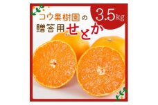 コウ果樹園の贈答用＜せとか＞3.5kg(バラ詰め)＜D33-34＞_みかん ミカン せとか 柑橘 フルーツ 果物 くだもの 完熟 産直 産地直送 甘い ジューシー 高糖度 愛媛 希少 おすすめ 人気 送料無料【1457340】