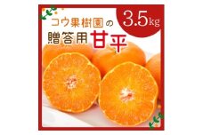 コウ果樹園の贈答用＜甘平＞3.5kg(バラ詰め)＜D33-35＞_ みかん ミカン 愛媛県 フルーツ 果物 くだもの 柑橘 かんきつ 人気 産地直送 産直 ジューシー 甘い 果汁 糖度 高級 甘い 人気 【1457338】