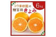 コウ果樹園の贈答用きよみ6kg＜C33-36＞_みかん ミカン きよみ 清見 柑橘 フルーツ 果物 くだもの 完熟 産直 産地直送 甘い ジューシー 高糖度 愛媛 希少 おすすめ 人気 おすすめ 送料無料【1457341】
