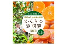 ＜発送月固定定期便＞愛媛の人気品種を厳選! みかん定期便(訳あり) 全12回＜H25-151＞【4005121】