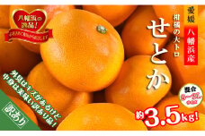 2026年2月発送開始　柑橘の大トロ!「せとか」約3.5キロ＜訳あり品・家庭向け＞＜C39-51＞【1491413】
