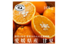 愛媛みかんの老舗厳選＜甘夏10kg＞＜E70-27＞【1470661】