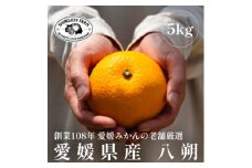 創業百八年 愛媛みかんの老舗＜八朔5kg＞家庭用＜新口農園＞＜C70-28＞【1470659】