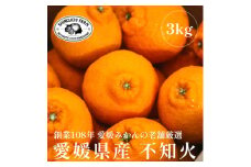 創業百八年 愛媛みかんの老舗＜不知火3kg＞家庭用＜新口農園＞＜C70-29＞【1470656】