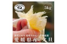 創業百八年 愛媛みかんの老舗＜文旦5kg＞家庭用＜新口農園＞＜D70-31＞【1470650】