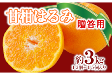 「甘柑はるみ」贈答用3kg＜C79-23＞【1474167】