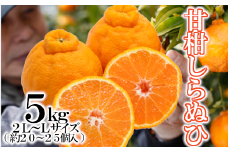 「甘柑しらぬひ」5kg サイズ2LまたはL/約20～25個＜C79-25＞【1474165】