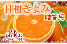 「甘柑きよみ」贈答用3kg＜C79-26＞_ みかん ミカン 柑橘 くだもの 果物 フルーツ 清見 きよみ 甘柑 タンゴール 濃厚 甘い 3kg 常温 デザート 産地直送 産直 【1474164】