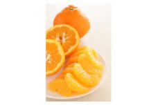 八幡浜産・伊予柑10kg＜訳あり＞＜C56-45＞【1479304】