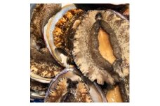 竹中水産の大きめ入り1kg前後「天然活きアワビ(鯛もしくはアジとセット) 」＜H22-220＞【1043107】
