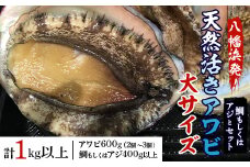 八幡浜発!竹中水産の「アワビ三昧大サイズ」600g(鯛もしくはアジとセット)　＜H22-212＞_ 鮑 あわび アワビ 活きあわび 魚介 魚介類 海鮮 天然 活き 鮮魚 刺身 冷蔵 大サイズ セット 食べ比べ BBQ 【1043108】