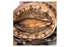 八幡浜発!竹中水産の「アワビ三昧、中サイズ」400g(鯛もしくはアジとセット)＜F22-215＞【1043111】