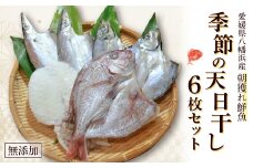 無添加・天日干し　ピチピチ朝獲れ鮮魚の天日干し　6枚＜C26-7＞【1044327】