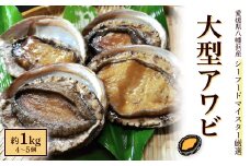 シーフードマイスター厳選　活き生き　大型アワビ　約1kg＜H26-8＞_ あわび アワビ 鮑 冷蔵 刺身 ステーキ 高級 海鮮 蒸しあわび 魚類 酒蒸し グルメ 【1044329】