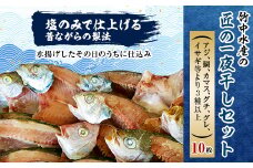 竹中水産の匠の一夜干し10枚セット! ＜D22-226＞_ 一夜干し 天日干し 干物 ひもの 天然 食べ比べ 詰合せ セット 魚介 魚介類 海鮮 冷凍 愛媛 八幡浜 産直 産地直送 国産 おかず おつまみ 【1054228】