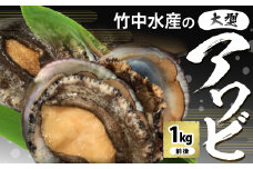竹中水産の嗜好の大型アワビ(1㎏前後)!＜H22-227＞_ 鮑 アワビ あわび 刺身 竹中水産 送料無料 産直 冷蔵 海鮮 魚貝 1kg 人気 おすすめ 大型 ステーキ グルメ 【1060851】
