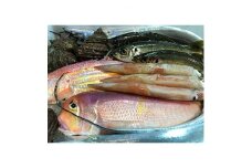 竹中水産の「豪華鮮魚ボックス約4キロ」!＜H22-234＞【1070934】