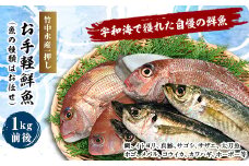 竹中水産の一押し「お手軽鮮魚」1キロ前後＜C22-235＞【1073396】