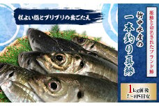 竹中水産の一本釣り真鯵!1キロ前後＜C22-238＞【1073399】