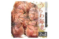 竹中水産の珍重される海老「うちわ海老」2キログラム前後!＜H22-253＞_ 海老 えび エビ うちわ海老 魚介 海鮮 希少 冷蔵 限定 国産 産地直送 グルメ 【1073910】
