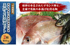 竹中水産の当地自慢の鮮魚2種「真鯵と天鯛」!約1キロセット!(宇和海産)＜C22-255＞【1073912】