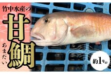 竹中水産の「甘鯛」(赤又は白)約1キロ＜F22-260＞_ 鯛 たい タイ 甘鯛 魚介 海鮮 国産 産地直送 冷蔵 白身 グジ グルメ おすすめ 人気 愛媛県 1kg あまだい 【1075512】