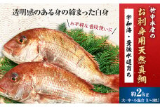 竹中水産の「お刺身用天然真鯛」約2キロセット!(大、中、小混:1～3枚)＜D22-263＞【1075515】